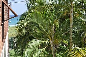 White Coconut Studio