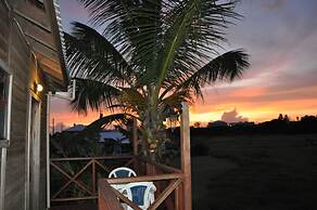 White Coconut Studio