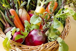 Yugawara Retreat Goen no Mori