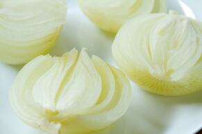 Yugawara Retreat Goen no Mori