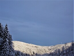 Berghotel Schwarzwaldblick Triberg