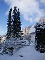 Berghotel Schwarzwaldblick Triberg