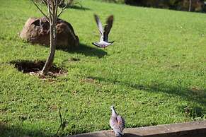 Panari Resort, BW Signature Collection
