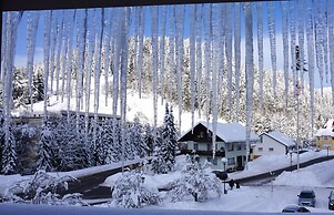 Chalet MOOS