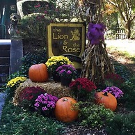 The Lion and the Rose B&B