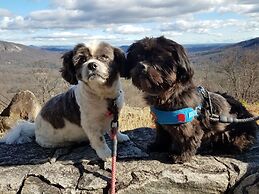 The Lion and the Rose B&B