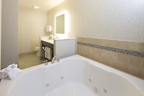 Holiday Inn Express & Suites La Porte by IHG