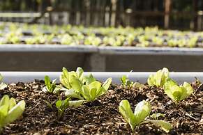 Pousada de Pesca e Lazer Camury