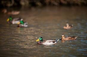 Goss Hall Bed & Breakfast