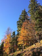 Apartments Ceresnovy Sad
