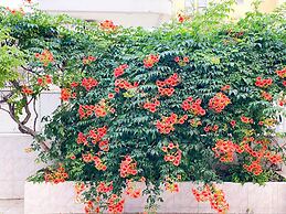 Bella Rose Apart Hotel