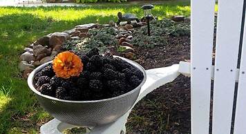 Inn at Huntingfield Creek