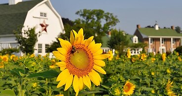 Inn at Huntingfield Creek