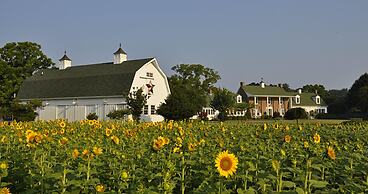 Inn at Huntingfield Creek