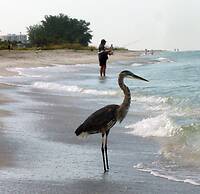 Casa Del Mar Longboat Key