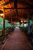 Bird of Paradise Hotel & Apartments