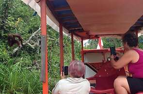 Rimba Orangutan Eco Lodge