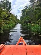 Rimba Orangutan Eco Lodge