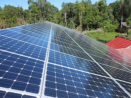 Rimba Orangutan Eco Lodge