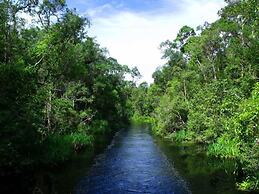 Rimba Orangutan Eco Lodge