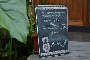 Rimba Orangutan Eco Lodge