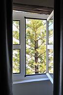 Fonte da Foz Bed & Breakfast Terrace