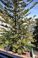 Fonte da Foz Bed & Breakfast Terrace