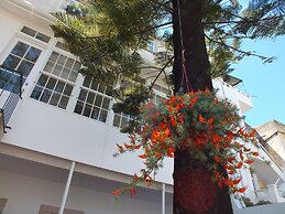 Fonte da Foz Bed & Breakfast Terrace