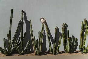 Andaz Scottsdale Resort & Bungalows