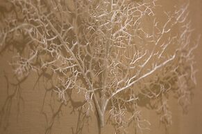 The Towers at Pueblo Bonito Pacifica - All Inclusive