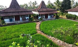 Kampoeng Joglo Ijen Banyuwangi