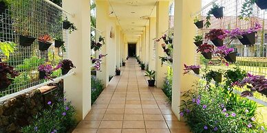 d'Emmerick Salib Putih Hotel Salatiga