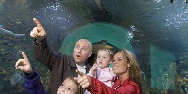 Magic Hotel Solheimsviken