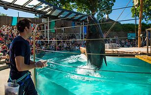 Magic Hotel Solheimsviken