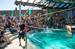 Magic Hotel Solheimsviken