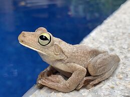 Hotel La Posada and Jungle