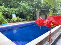 Hotel La Posada and Jungle