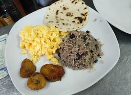 Hotel La Posada and Jungle