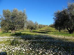 Quinta das Ratoeiras