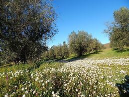 Quinta das Ratoeiras