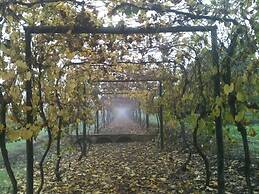 Quinta das Ratoeiras