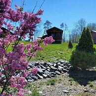 Single Island Shores