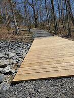 Single Island Shores