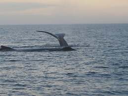 Grand Oak Manor Bed & Breakfast