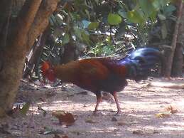 The Waves Beach Chalets