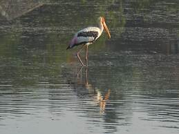 The Waves Beach Chalets