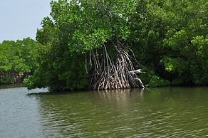 The Waves Beach Chalets