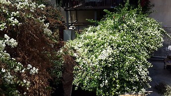Daher Guest House Nazareth - Hostel