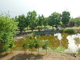 Clione Camp Guest House