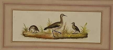 Relais La Corte Dei Cavalieri